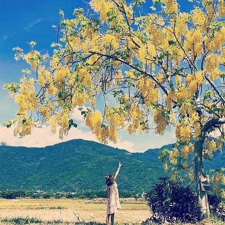 Pu Shi Homestay Yuli Luaran gambar