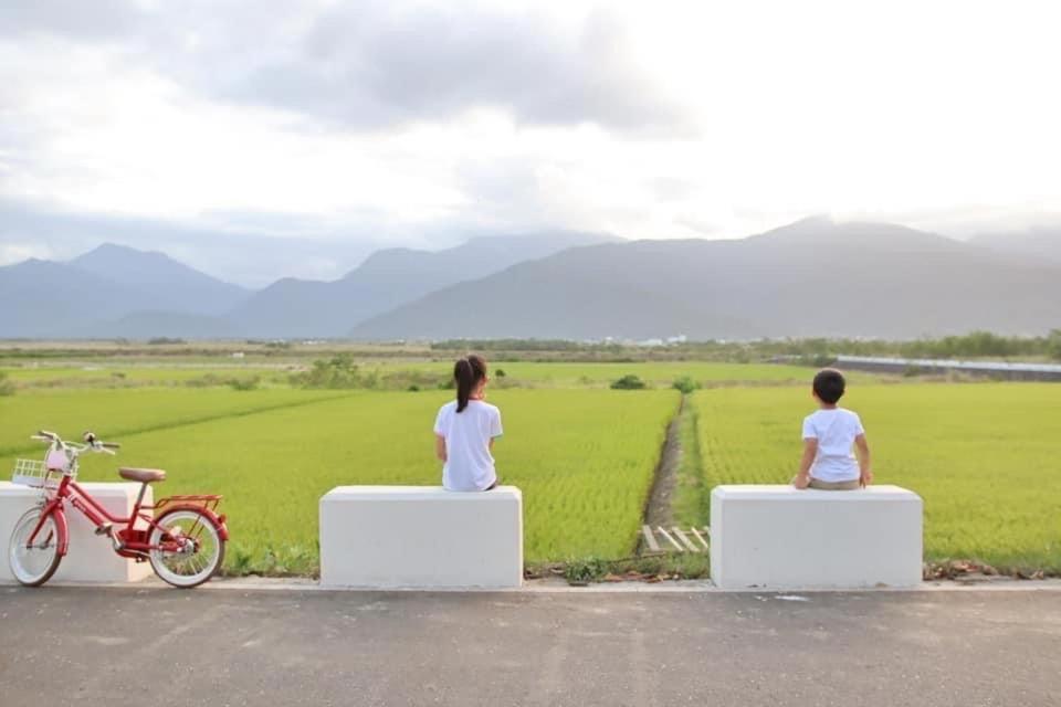 Pu Shi Homestay Yuli Luaran gambar