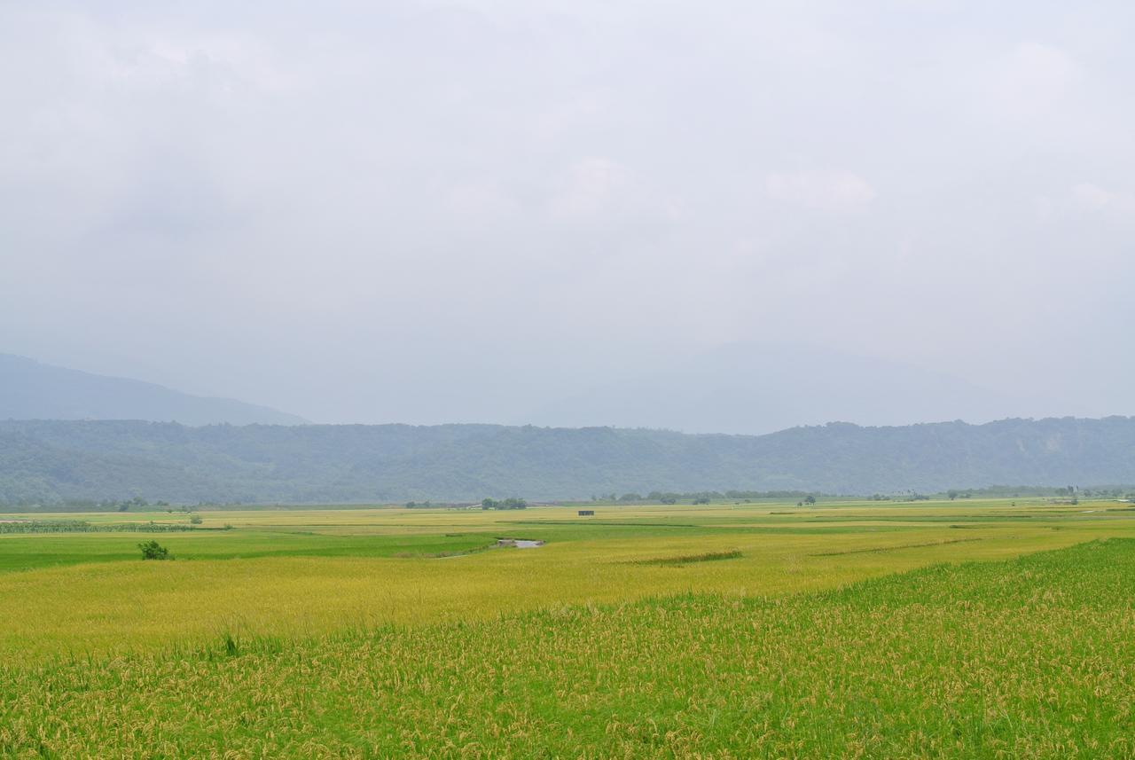 Pu Shi Homestay Yuli Luaran gambar